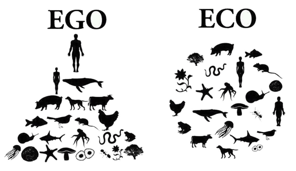 ego eco ecopsychologie